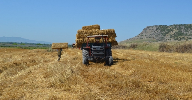 Çukurovada Saman Balyalama Mesaisi Başladı