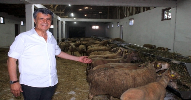 Btso Eski Meclis Başkanı Hayvancılık Sektörüne Girdi