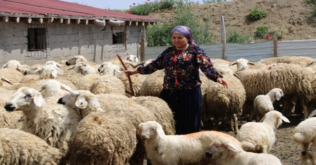 EĞER KADIN İSTERSE...