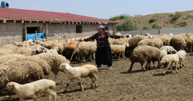 EĞER KADIN İSTERSE...