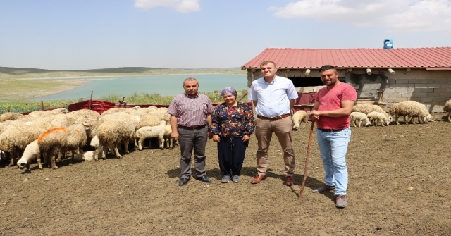 EĞER KADIN İSTERSE...