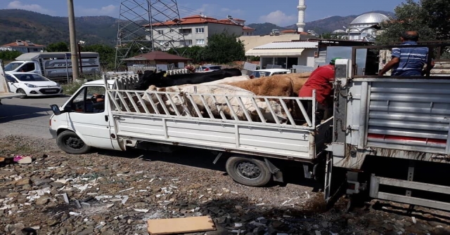 Ortacada Genç Çiftçilere Destek