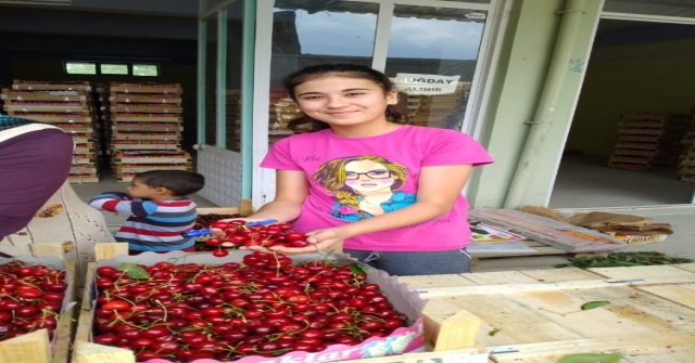 Selendili Kiraz Üreticileri Tedirgin