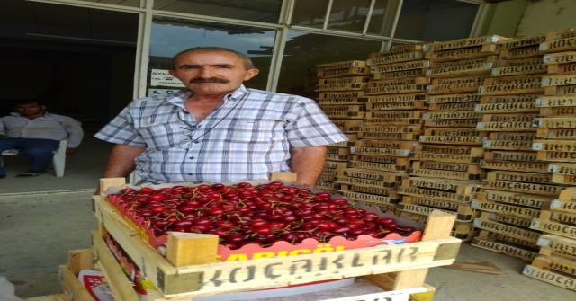Selendili Kiraz Üreticileri Tedirgin