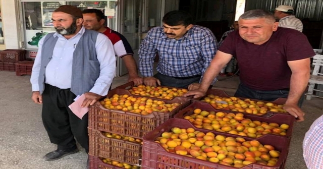 Kayısı 80 Kuruşa Düştü