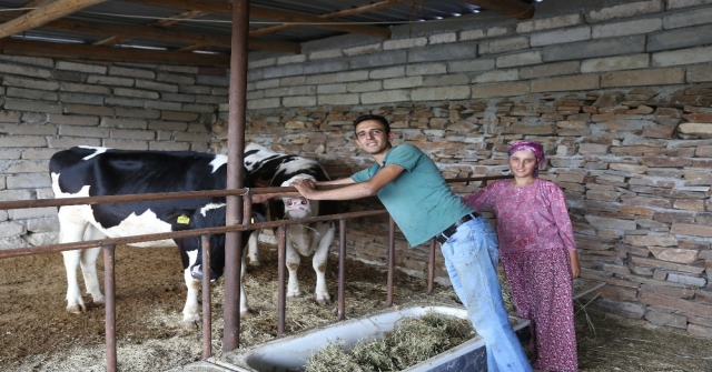 (Özel) Göçten Vazgeçip Hayvancılığa Başladılar