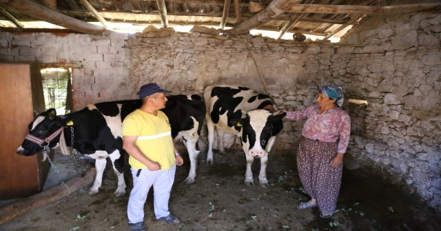 (Özel) Göçten Vazgeçip Hayvancılığa Başladılar