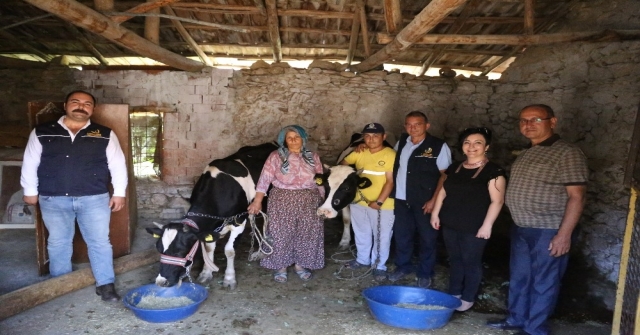 (Özel) Göçten Vazgeçip Hayvancılığa Başladılar
