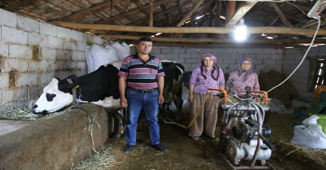 (Özel) Göçten Vazgeçip Hayvancılığa Başladılar