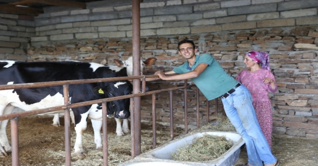 (Özel) Göçten Vazgeçip Hayvancılığa Başladılar