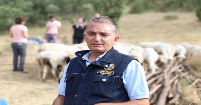 (Özel) Göçten Vazgeçip Hayvancılığa Başladılar