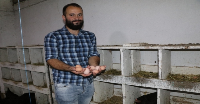 Bankacılıktan Bin 500 Tavuklu Çiftliğe