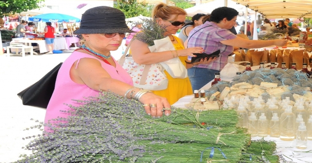 Seferihisarda Lavanta Rüzgarı