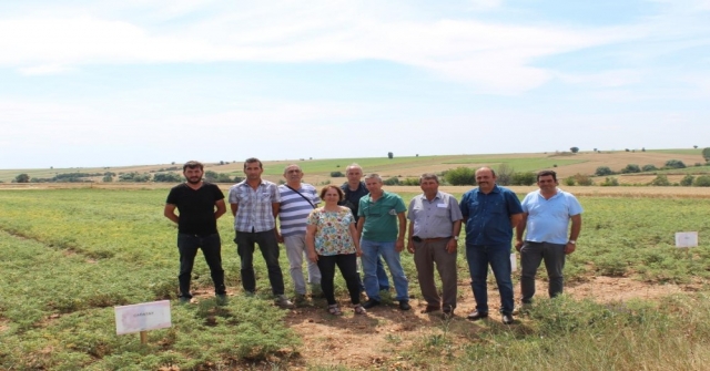 Kırklarelinde Sözleşmeli Üretilen Nohutlar İncelendi