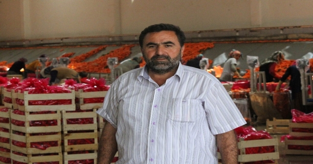 Mayıs Ayının Zam Şampiyonu Havuçta Hasat Yapılıyor