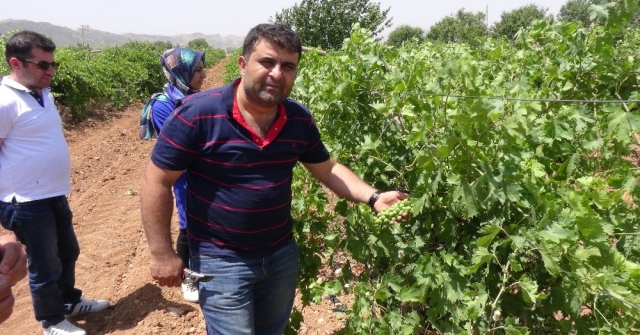 Gercüşte Çiftçilere Eğitim