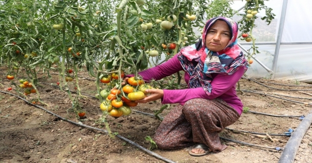 Seralar para bastı