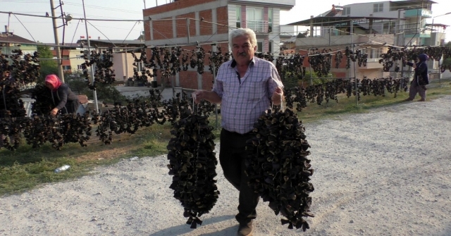 Yaşını Satamayınca Kuruttular, Şimdi Tüm Dünyaya Satıyorlar