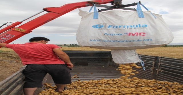 Çorumda Patates Hasadı Başladı