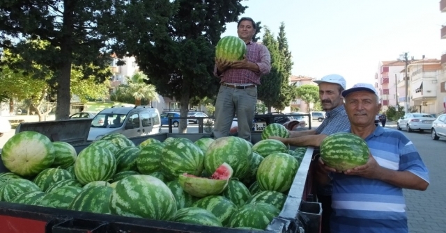 Burhaniyede Yerli Karpuz Çıktı