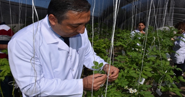 Niğde Patates Araştırma Enstitüsü Arı Gibi Çalışıyor