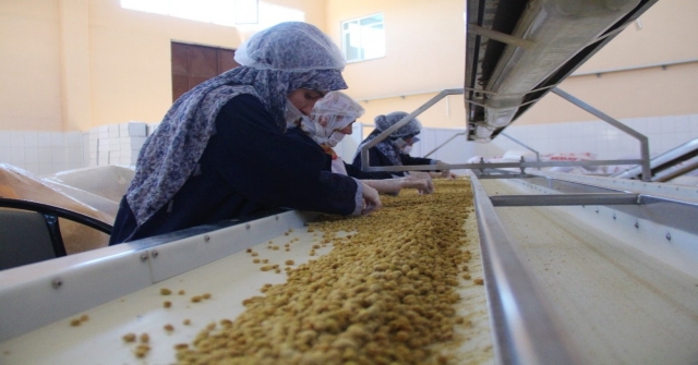 Dede Mesleğini Büyüterek Fabrika Kurdu