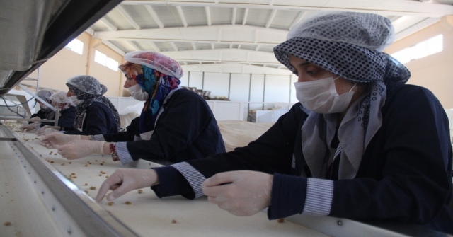 Dede Mesleğini Büyüterek Fabrika Kurdu