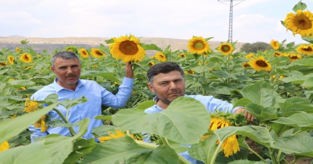 Çin Türkiyeyi Çekirdek İle Vurdu