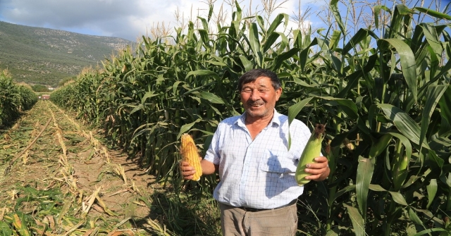 Başkan Atıcı, Silaj Yapma Fiyatlarını Açıkladı