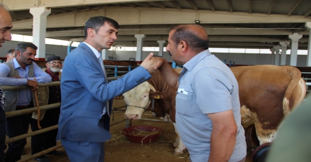 Erzurumdan Batıya Kurban Sevkiyatı Başladı