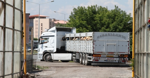 Batıya Kurban Sevkiyatı Başladı