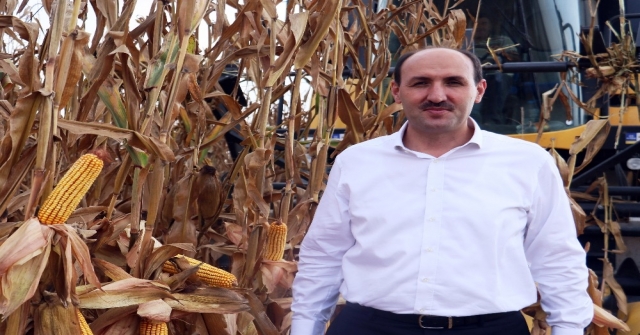 Adana'da mısır hasadı başladı