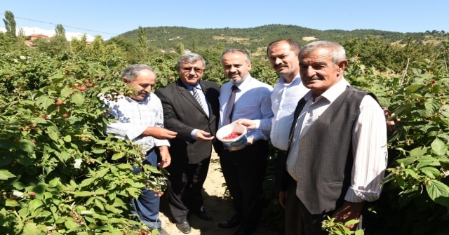 Dağ Yöresinde Hasat Zamanı
