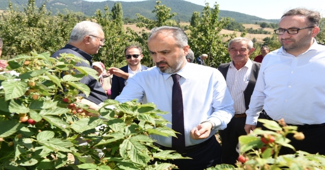 Dağ Yöresinde Hasat Zamanı