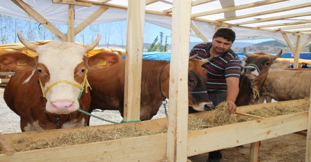 Kurban Pazarlarından Türk Lirasına Destek