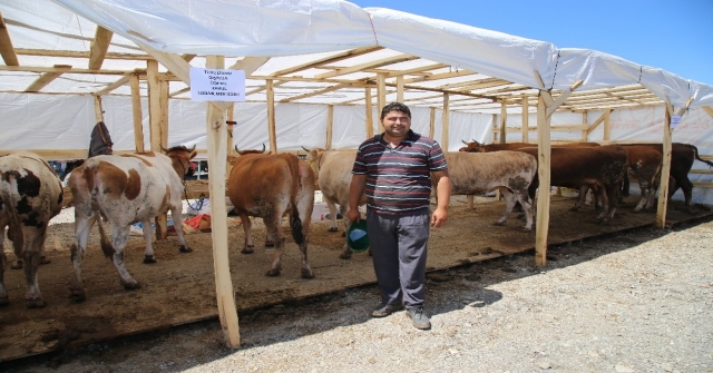 Kurban Pazarlarından Türk Lirasına Destek