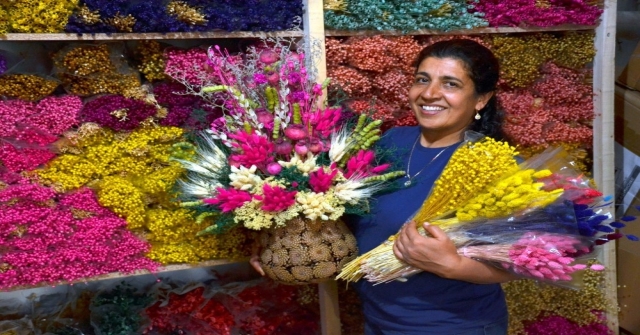 Aksekide Kuru Çiçek Sektörü Yeniden Altın Çağını Yaşamaya Başladı