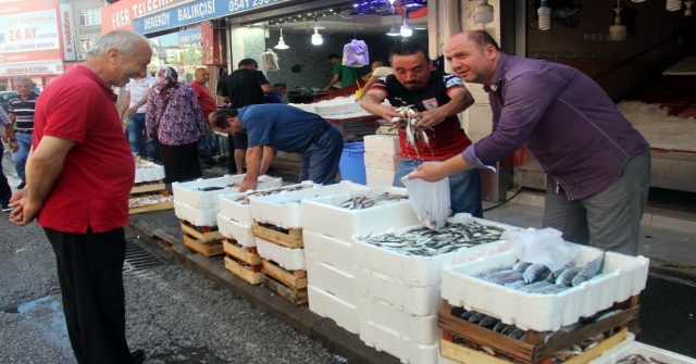 Sezon Açıldı, Vatandaş Balığa Hücum Etti