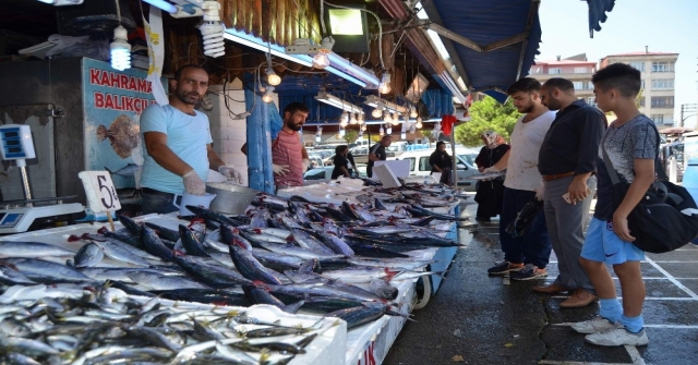 Havaların Sıcak Olması Palamut Satışını Etkiliyor