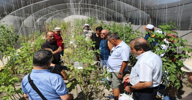 Kktcli Patates Üreticileri Patates Araştırma Enstitüsünü Gezdi