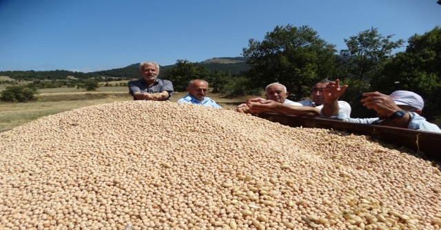 Nohut Üreticisinin Yüzünü Güldürdü