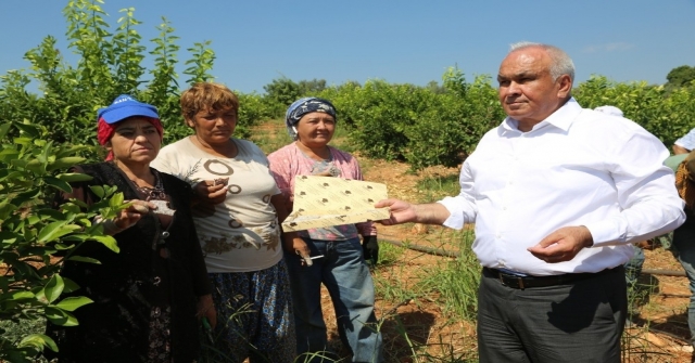 Başkandan Cezeryeli İhracatlık Limon Kesimi