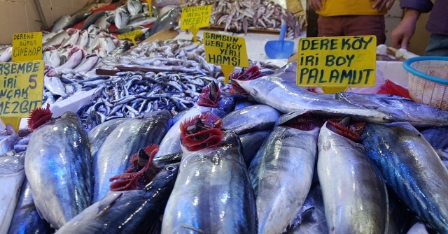 Karadeniz Balık Patlaması: “Ne Alırsan 5 Tl”