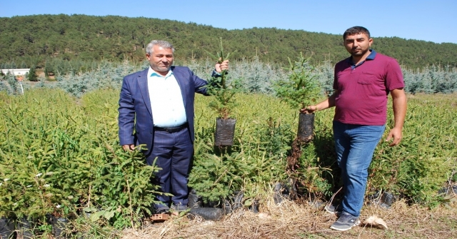 (Özel) İstanbul Yeni Havalimanını Manisanın Fidanları Süsleyecek