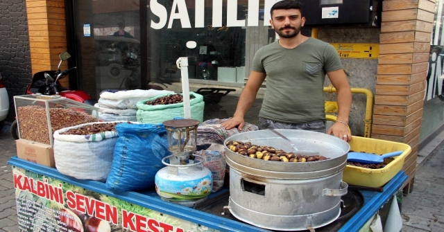 Sezonun İlk Kestanesi Çıktı