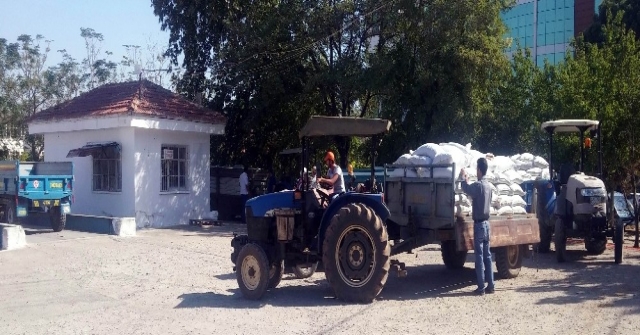 Tariş Üzüm Alım Avans Fiyatını Artırdı