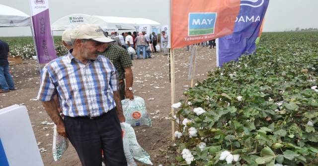 May Tohum, Yeni Pamuk Çeşitlerini Bereket Şenliğinde Çiftçilere Tanıttı