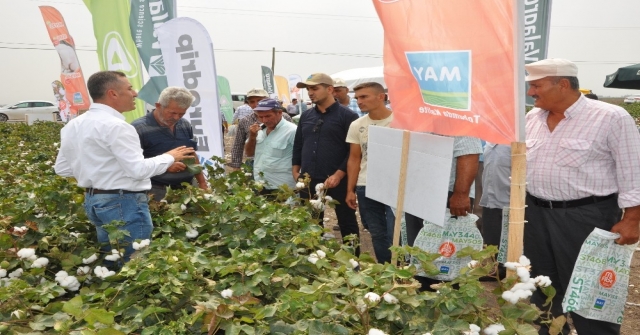 May Tohum, Yeni Pamuk Çeşitlerini Bereket Şenliğinde Çiftçilere Tanıttı