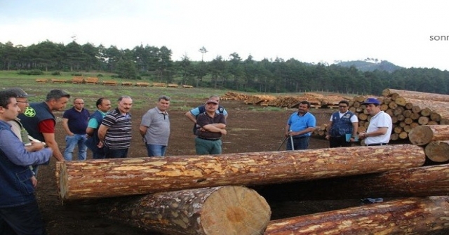 Adana Orman Bölge Müdürlüğü Üretim Ve Satış Hedeflerini Aştı