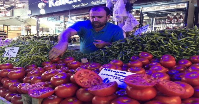 (Özel Haber) Domates Doları Solladı